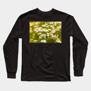 Copy of Camomile in the meadow Long Sleeve T-Shirt